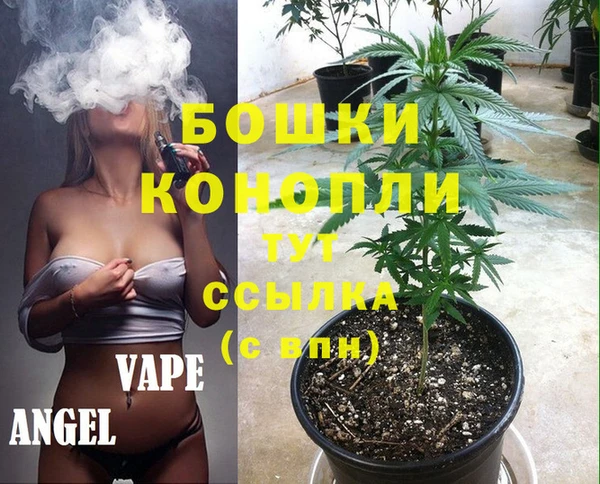 ешки Алексеевка