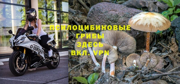 амф Алзамай