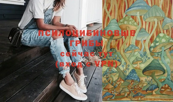 бошки Абдулино