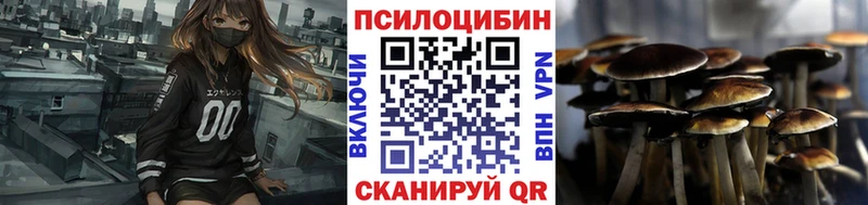 где найти наркотики  Черемхово  Галлюциногенные грибы ЛСД 